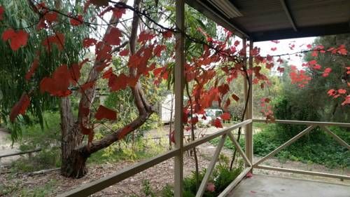 Outdoor Pictures 15