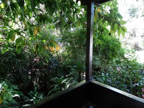Outdoor Pictures 15