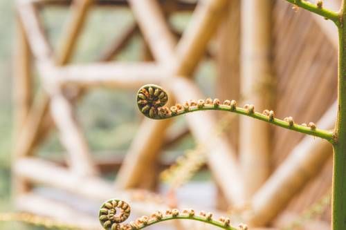 Outdoor Pictures 14