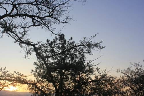 Outdoor Pictures 16