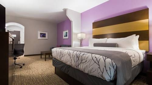 Best Western Plus Buda Austin Inn & Suites