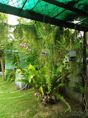Outdoor Pictures 15