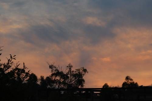 Outdoor Pictures 22