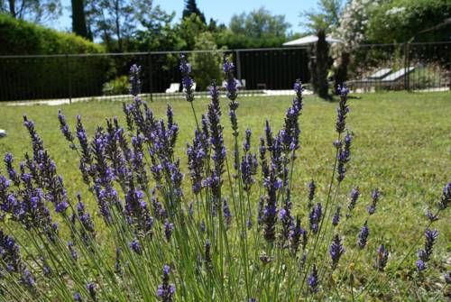 Outdoor Pictures 20