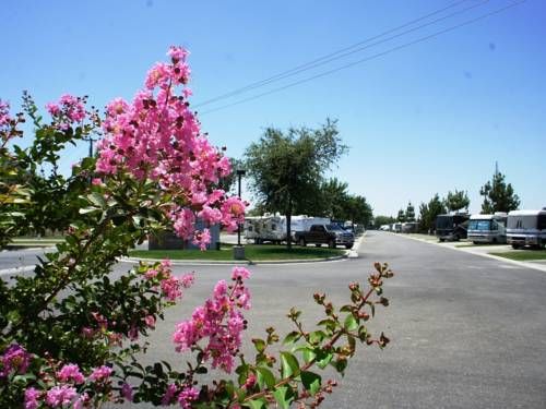 Outdoor Pictures 7