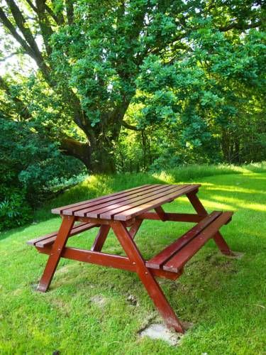 Outdoor Pictures 15