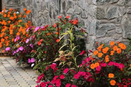 Outdoor Pictures 9