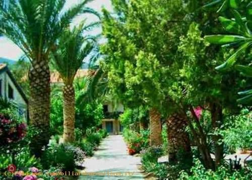 Outdoor Pictures 20