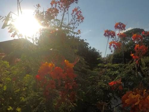 Outdoor Pictures 11