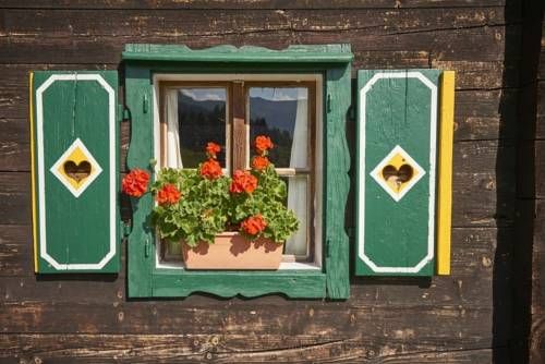 Outdoor Pictures 12