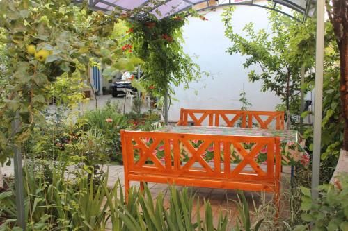 Outdoor Pictures 24
