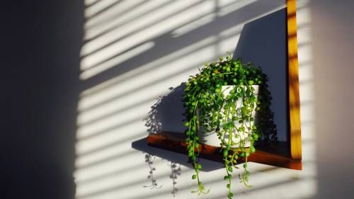 Outdoor Pictures 24