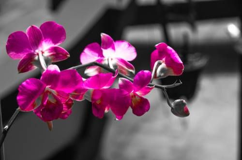 Outdoor Pictures 12
