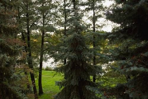 Outdoor Pictures 6