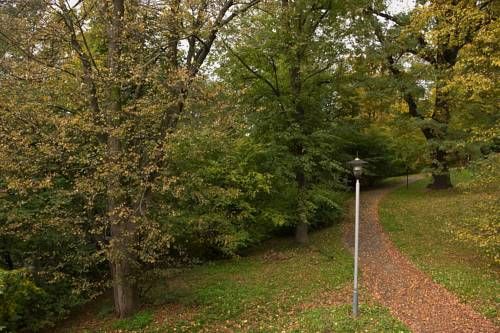 Outdoor Pictures 7