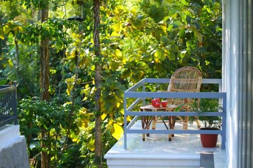 Outdoor Pictures 9