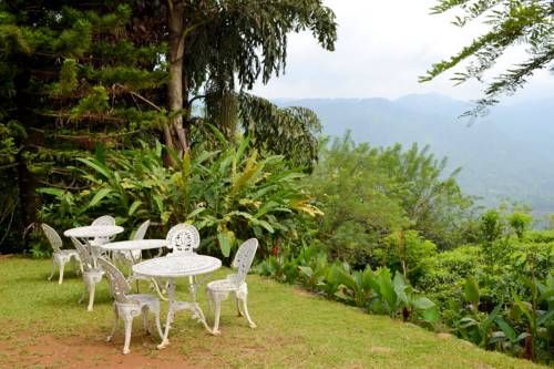 Outdoor Pictures 6