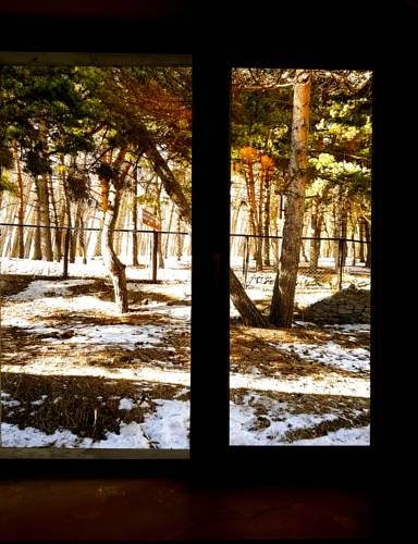 Outdoor Pictures 11