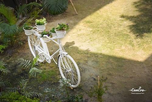 Outdoor Pictures 22