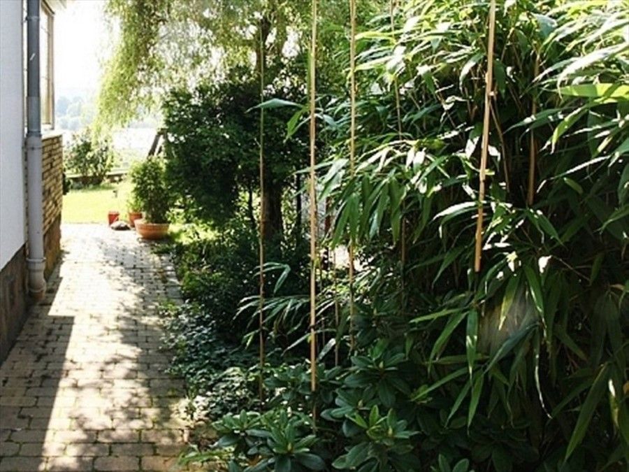 Outdoor Pictures 5