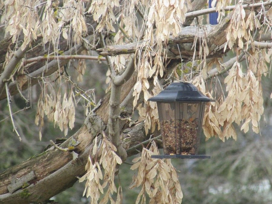 Outdoor Pictures 20