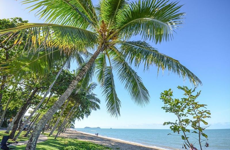 Roydon Beachfront Apartments