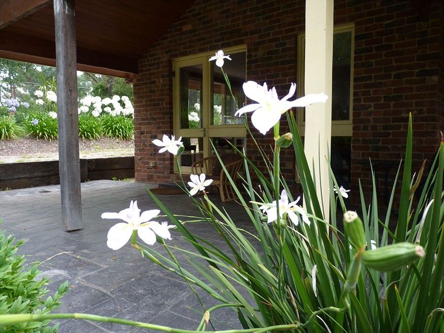 Outdoor Pictures 2