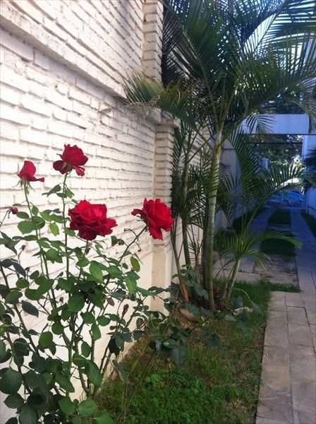 Outdoor Pictures 19