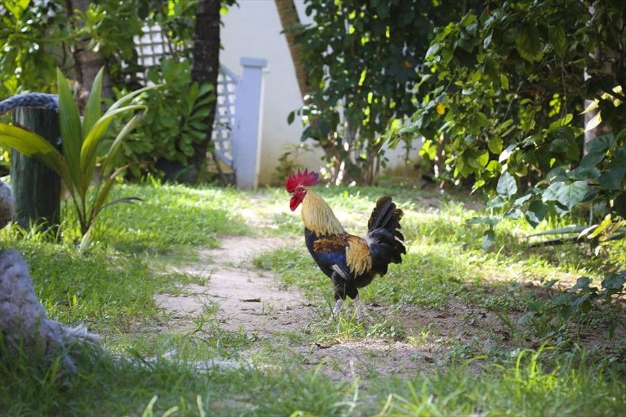 Outdoor Pictures 20