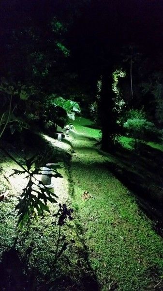 Outdoor Pictures 19