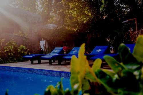 Outdoor Pictures 23