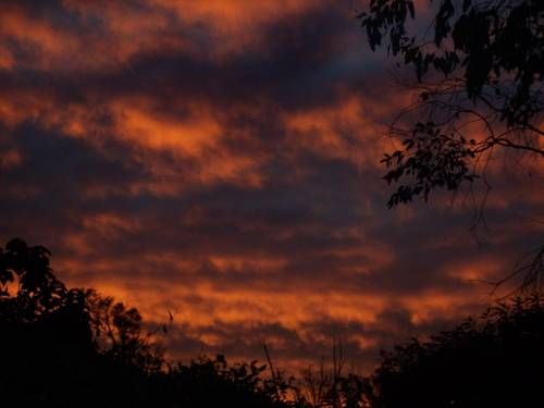 Outdoor Pictures 22