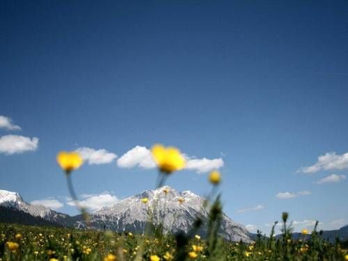 Outdoor Pictures 22
