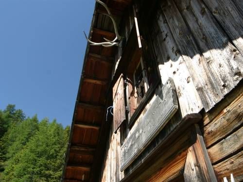 Outdoor Pictures 23