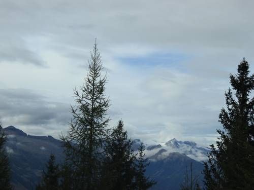 Outdoor Pictures 17