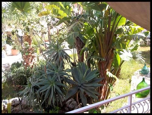 Outdoor Pictures 15