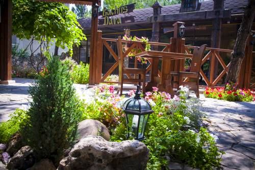 Outdoor Pictures 22