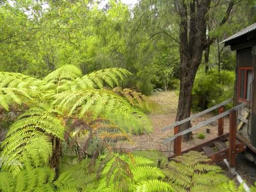 Outdoor Pictures 20