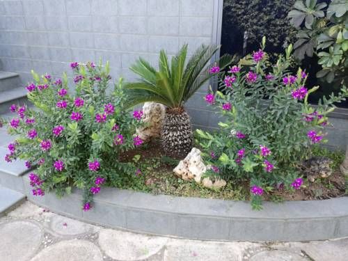 Outdoor Pictures 20