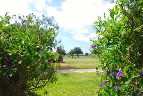 Outdoor Pictures 18