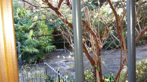 Outdoor Pictures 24