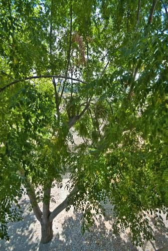 Outdoor Pictures 18
