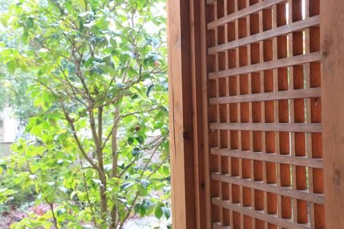 Outdoor Pictures 22
