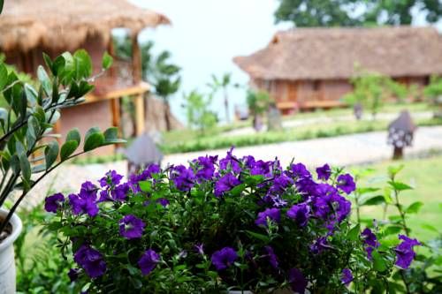 Outdoor Pictures 20