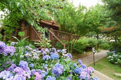 Outdoor Pictures 21