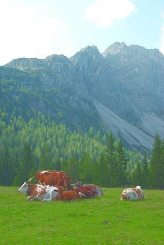 Outdoor Pictures 17