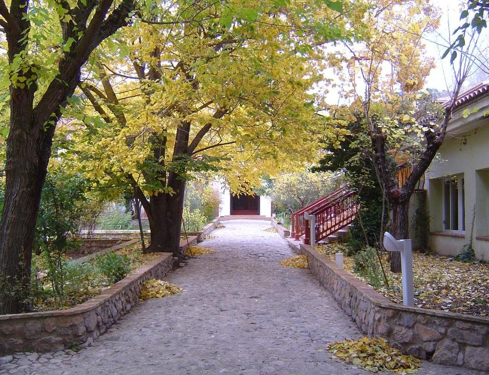 Outdoor Pictures 16