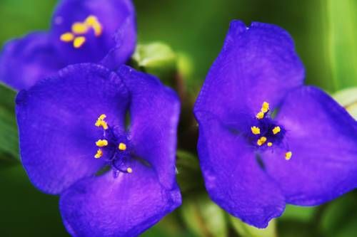 Outdoor Pictures 22