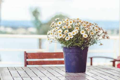 Outdoor Pictures 23