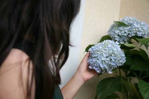 Outdoor Pictures 15
